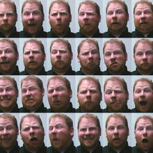 Many faces of bob.large